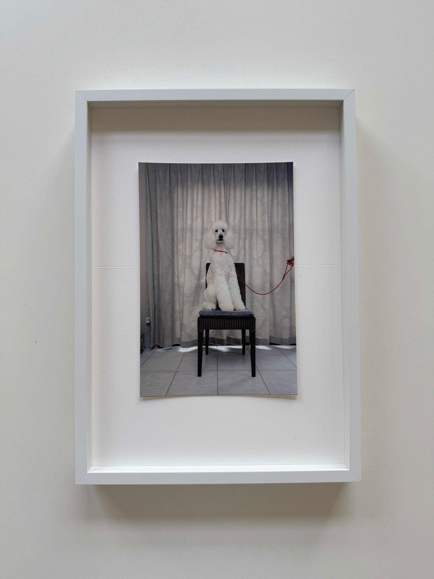 Charlotte Lybeer
